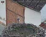 Capi_Dubne_20250402_085503.jpg