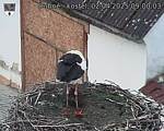 Capi_Dubne_20250402_090003.jpg