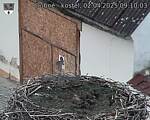 Capi_Dubne_20250402_091003.jpg