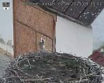 Capi_Dubne_20250402_093502.jpg