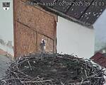 Capi_Dubne_20250402_094003.jpg