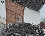 Capi_Dubne_20250402_094502.jpg