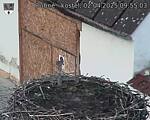Capi_Dubne_20250402_095503.jpg