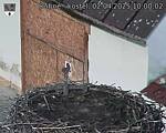 Capi_Dubne_20250402_100002.jpg