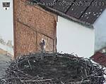 Capi_Dubne_20250402_101003.jpg