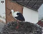 Capi_Dubne_20250402_101503.jpg