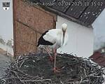 Capi_Dubne_20250402_103502.jpg