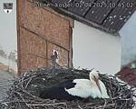 Capi_Dubne_20250402_104502.jpg