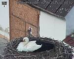 Capi_Dubne_20250402_110002.jpg