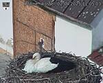 Capi_Dubne_20250402_110503.jpg