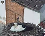 Capi_Dubne_20250402_111503.jpg