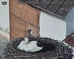 Capi_Dubne_20250402_112002.jpg