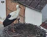 Capi_Dubne_20250402_115003.jpg