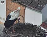Capi_Dubne_20250402_115502.jpg