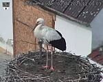Capi_Dubne_20250402_120003.jpg