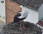 Capi_Dubne_20250402_120502.jpg