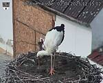 Capi_Dubne_20250402_121502.jpg