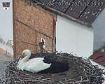 Capi_Dubne_20250402_122003.jpg