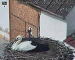 Capi_Dubne_20250402_123503.jpg