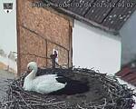 Capi_Dubne_20250402_124002.jpg