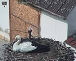 Capi_Dubne_20250402_124502.jpg