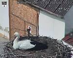 Capi_Dubne_20250402_125503.jpg