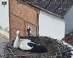 Capi_Dubne_20250402_130002.jpg