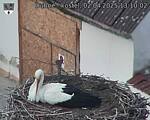 Capi_Dubne_20250402_131002.jpg