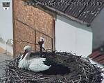 Capi_Dubne_20250402_131503.jpg