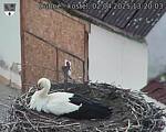 Capi_Dubne_20250402_132003.jpg
