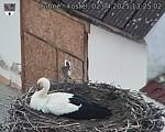Capi_Dubne_20250402_132502.jpg
