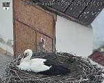 Capi_Dubne_20250402_133003.jpg