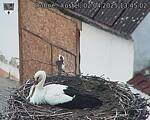 Capi_Dubne_20250402_134502.jpg