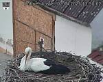 Capi_Dubne_20250402_135002.jpg