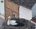 Capi_Dubne_20250402_135502.jpg