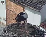 Capi_Dubne_20250402_141002.jpg