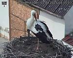 Capi_Dubne_20250402_141503.jpg