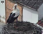 Capi_Dubne_20250402_143002.jpg