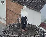 Capi_Dubne_20250402_144002.jpg
