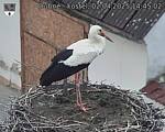 Capi_Dubne_20250402_144502.jpg