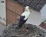 Capi_Dubne_20250402_145003.jpg