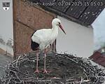 Capi_Dubne_20250402_150503.jpg