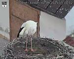 Capi_Dubne_20250402_151002.jpg
