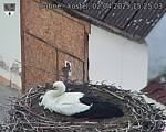 Capi_Dubne_20250402_152503.jpg