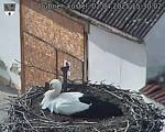 Capi_Dubne_20250402_153002.jpg