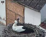 Capi_Dubne_20250402_153503.jpg