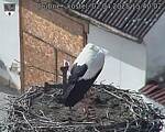Capi_Dubne_20250402_154002.jpg