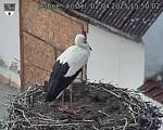 Capi_Dubne_20250402_155002.jpg