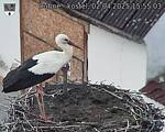 Capi_Dubne_20250402_155503.jpg
