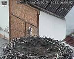 Capi_Dubne_20250402_160002.jpg